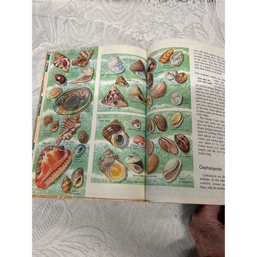 Vintage‎ How and Why Wonder Books Lot of 3 Sea Shells North America Lost Cities